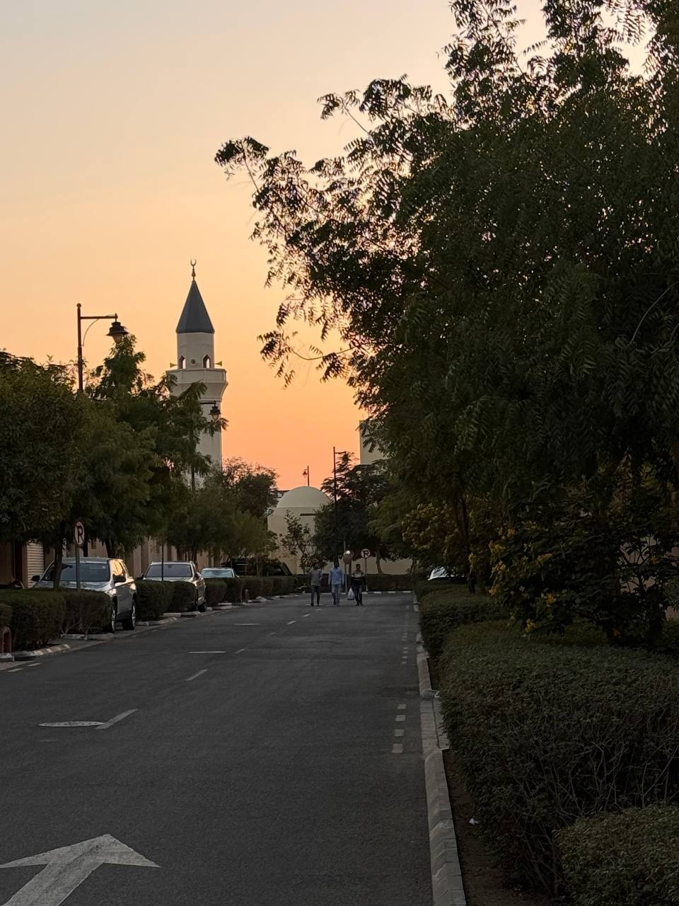 Фотография комплекса 2